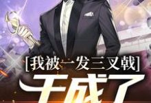 祁同伟小说我被一发三叉戟，干成了祁同伟！在线阅读-抹茶文学