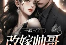 无删减版《一胎三宝，改嫁帅哥就是宠！》章节目录在线阅读-抹茶文学