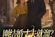 无删减版《刚结婚丈夫就溜？姐真不吃人！》全章节阅读-抹茶文学