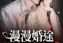 无删减版《漫漫婚途：前夫，请自重》在线阅读-抹茶文学