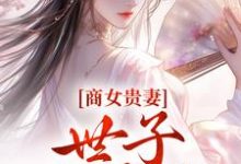 无删减版《商女贵妻：世子，来算账》在线免费阅读-抹茶文学