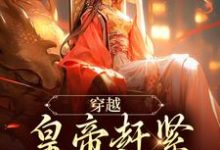 主角如意康熙小说无删减版在线阅读,穿越:皇帝赶紧给我打江山免费看-抹茶文学