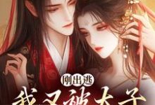 虞晚柔萧衡小说在线免费阅读（刚出逃，我又被太子绑回来了无弹窗无删减）-抹茶文学