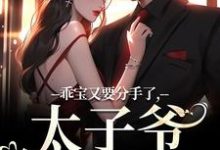 已完结小说《乖宝又要分手了，太子爷求贴贴》免费阅读-抹茶文学