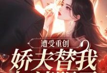 无删减版《遭受重创，娇夫替我扫清阴霾》全章节阅读-抹茶文学