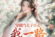 无删减版《穿越当太子小妾，我一路扶摇直上》在线免费阅读-抹茶文学