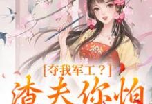 夺我军工?渣夫你怕是没命享凌朝歌南宫阎,夺我军工?渣夫你怕是没命享小说免费阅读-抹茶文学