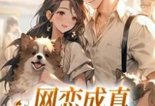 小说《网恋成真，这小子乐癫了》在线阅读-抹茶文学