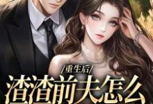 重生后,渣渣前夫怎么不鬼混了全章节免费在线阅读,慕晚棠何景深完结版-抹茶文学