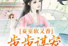 无删减版《妾室软又香，步步谋宠艳压群芳》免费阅读-抹茶文学