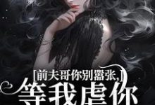 无删减版《前夫哥你别嚣张,等我虐你就老实了》全章节阅读-抹茶文学