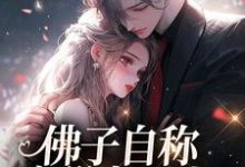 佛子自称空巢老男人?我真的笑了小说,佛子自称空巢老男人?我真的笑了免费阅读-抹茶文学