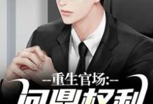 重生官场：问鼎权利之巅（林峰唐雪颜）在线免费阅读-抹茶文学