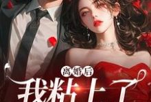 《离婚后，我粘上了那位大佬》小说大结局免费试读 陆骁舒愿小说-抹茶文学