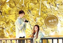 沈廷深季知节小说完结版在线阅读,枯木折枝再逢春免费看-抹茶文学