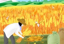 春迟梦醒不曾温最新章节,春迟梦醒不曾温免费阅读-抹茶文学